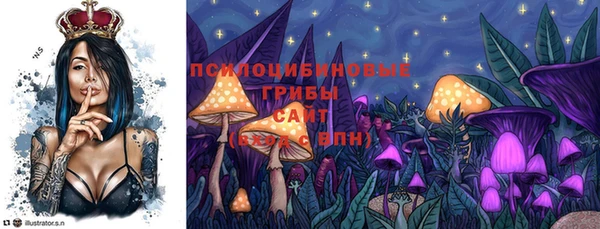 метадон Алексин