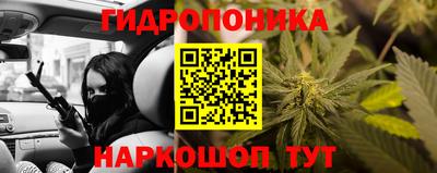 гидра Краснознаменск