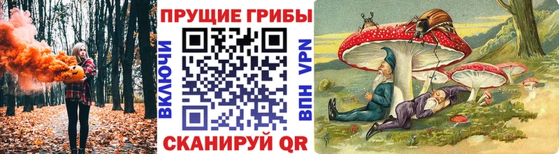 Галлюциногенные грибы Psilocybe  Урюпинск 