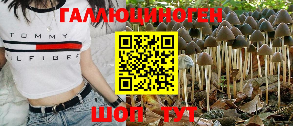 Псилоцибиновые грибы мухоморы Урюпинск