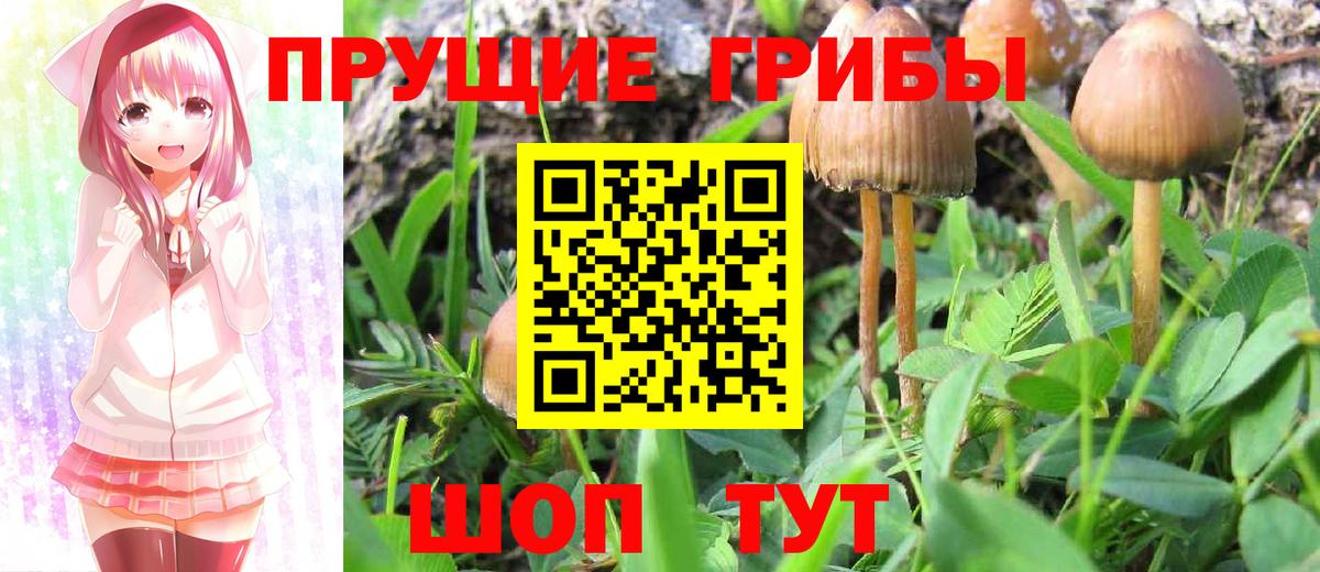 Галлюциногенные грибы прущие грибы  Галлюциногенные грибы MAGIC MUSHROOMS  Вход с VPN  Урюпинск 